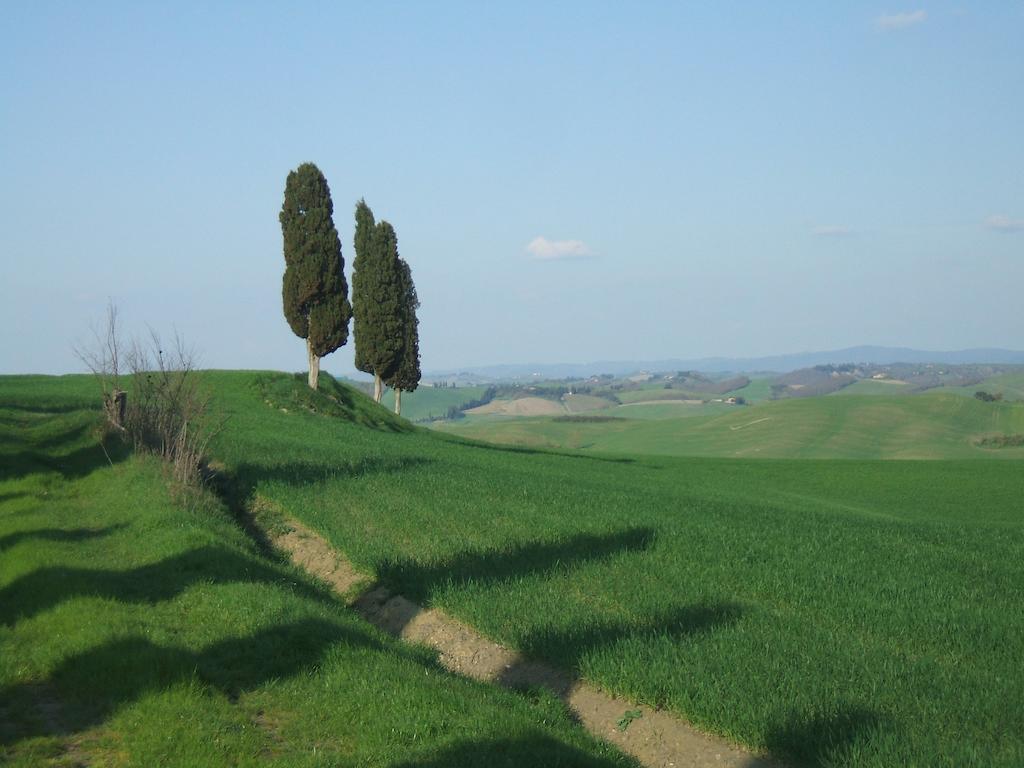 Ferienwohnung Antica Dimora Monteroni dʼArbia Zimmer foto